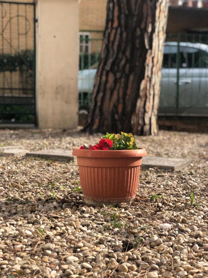 Portuense Sweet Home Roma Ngoại thất bức ảnh